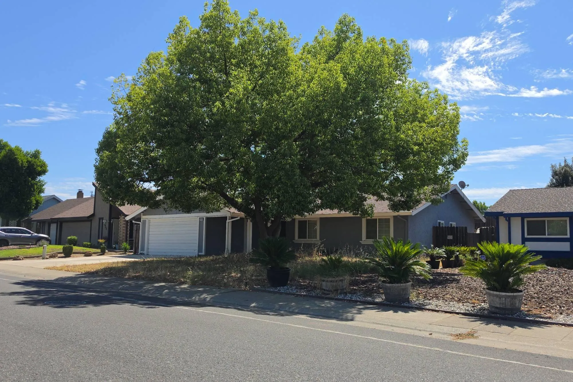 Paiute Way, Rancho Cordova, CA 95670 #1