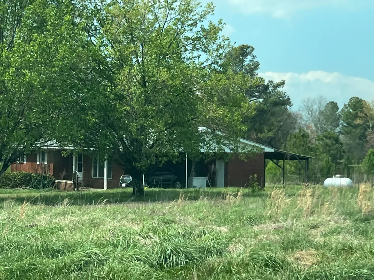 County Road 165 , Pisgah, AL 35765 #1