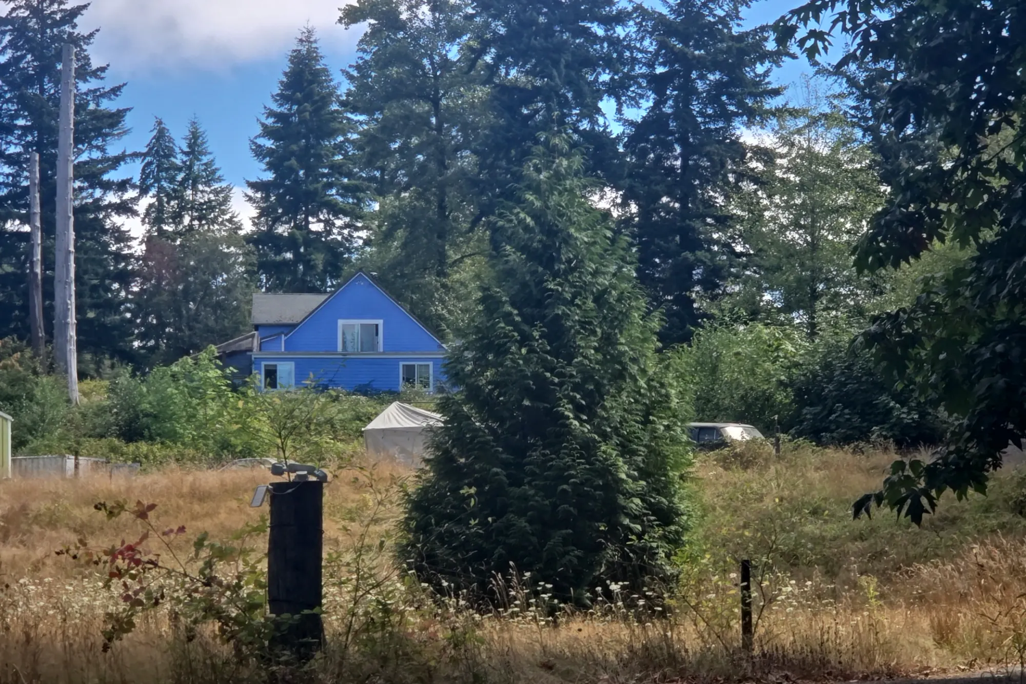 Tilley Rd, Tenino, WA 98589 #1