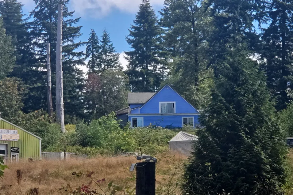 16524 Tilley Road S Tenino, WA 98589, Thurston County