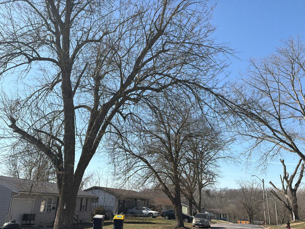 Lawn Ave, Kansas City, MO 64130