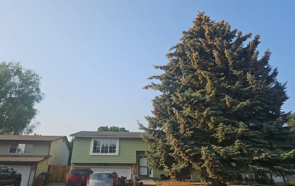 4104 East 21st Avenue Spokane, WA 99223, Spokane County