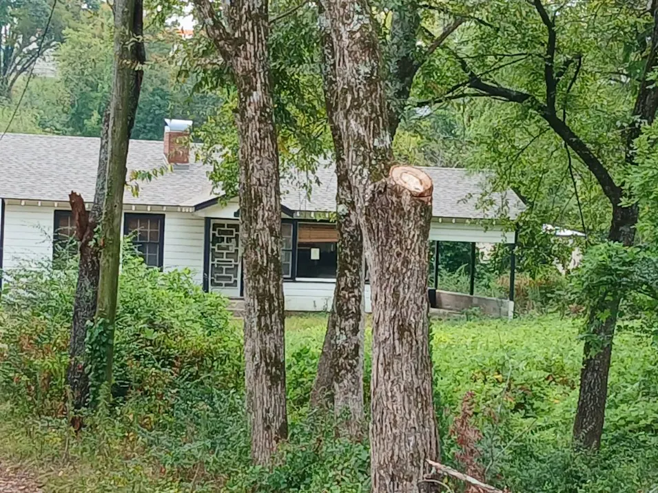 115 Edwards Place Hot Springs, AR 71913, Garland County