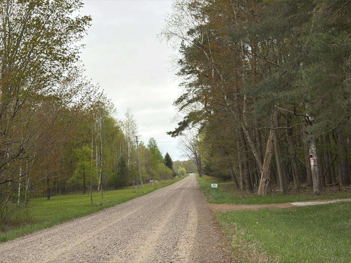 Mortimer Line Rd, Croswell, MI 48422