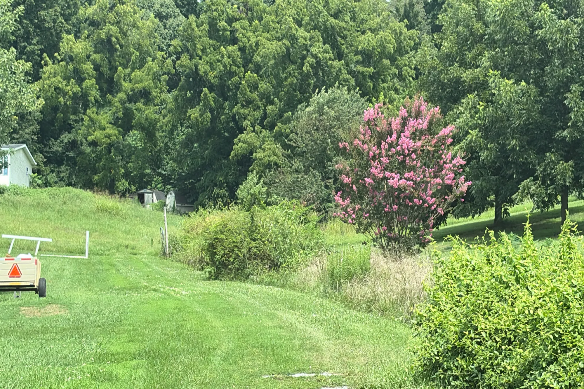 Mount Zion Rd, Whitesburg, TN 37891 #1