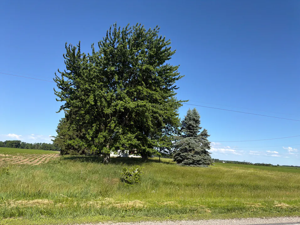 2731 Decker Rd Decker, MI 48426, Sanilac County