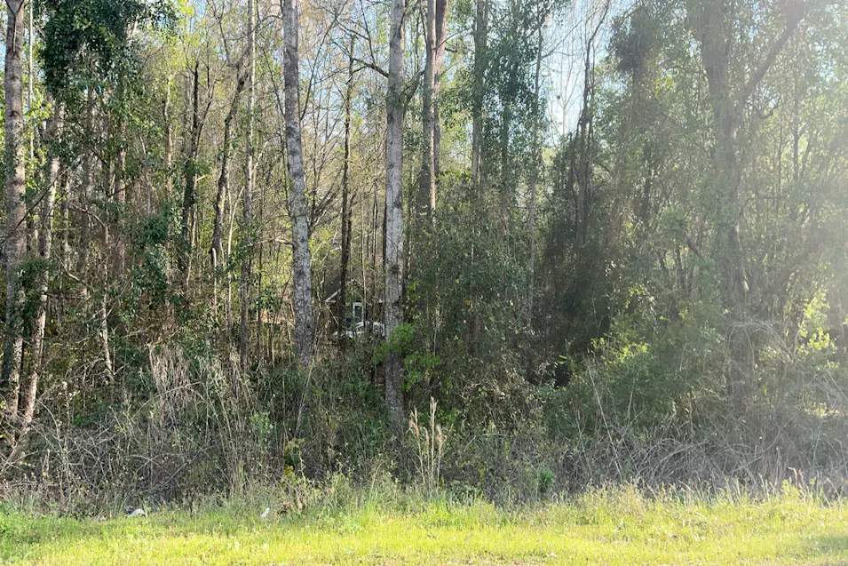 46 Lee Rd 510 Phenix City, AL 36870, Lee County