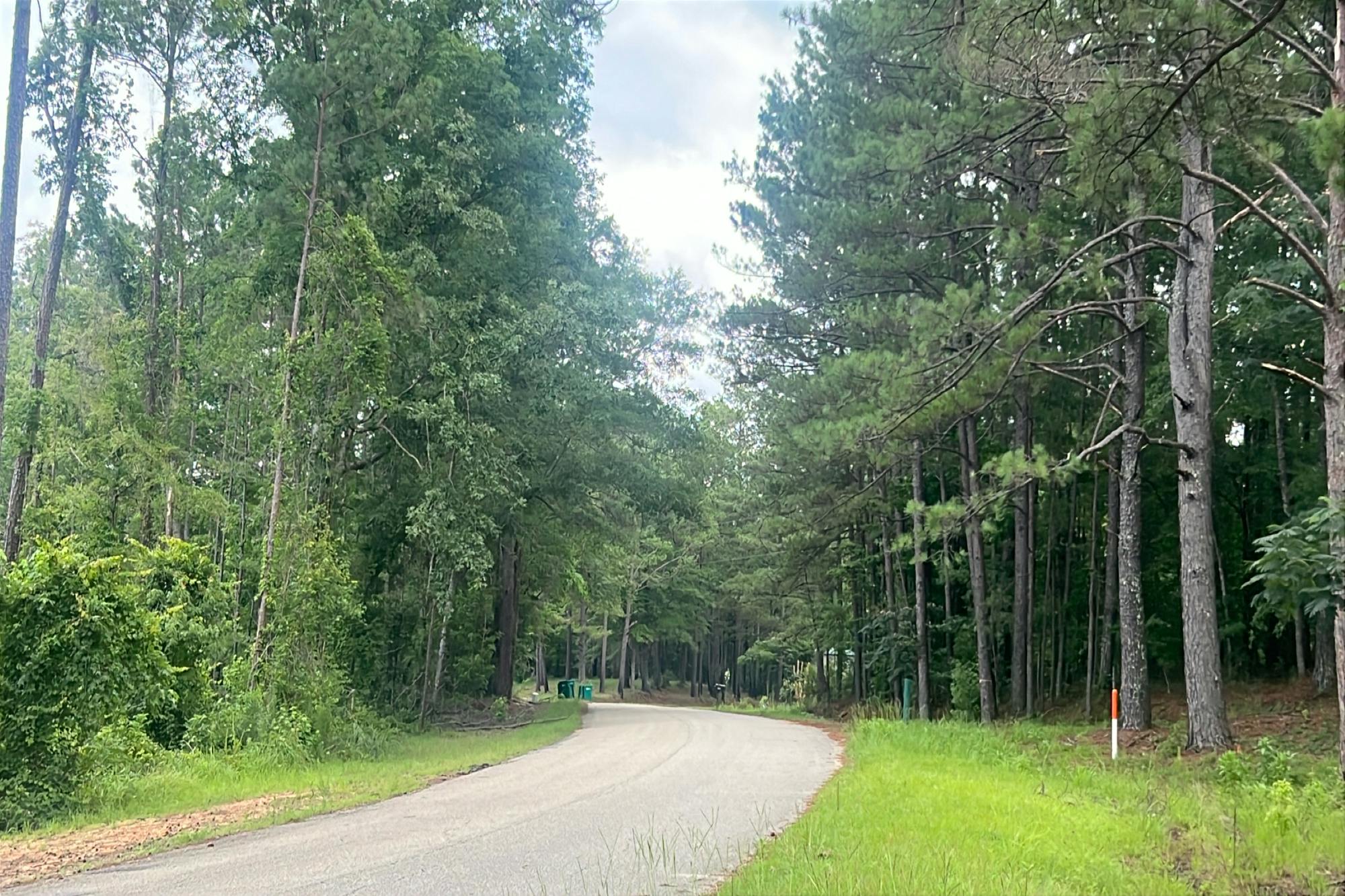 Pine Lake Rd, Northport, AL 35475