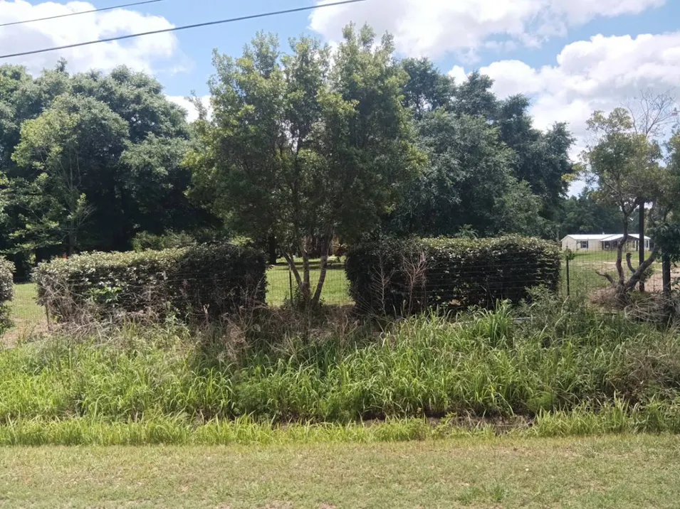 11205 Weaver Rd Wilmer, AL 36587, Mobile County