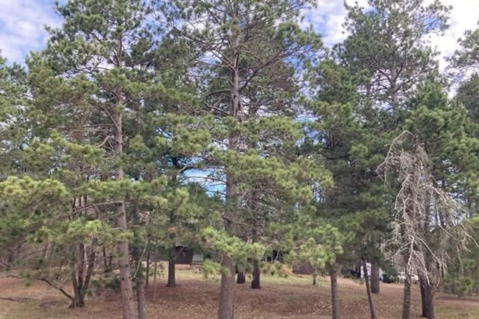 6642 County Rd 18 Pequot Lakes, MN 56472, Crow Wing County