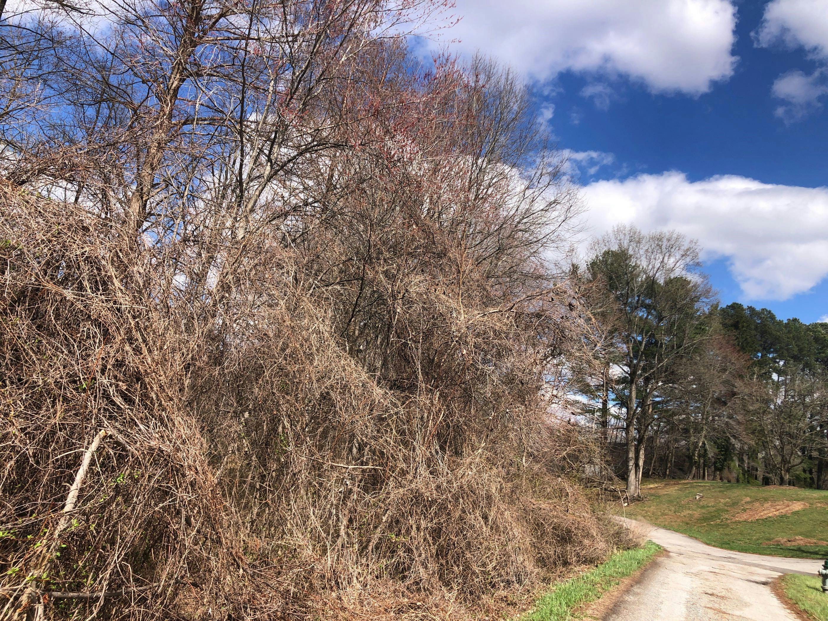 Pond Dr, Upper Marlboro, MD 20772