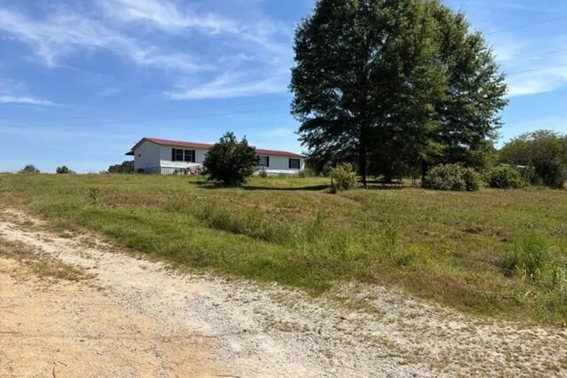 Mills Darden Rd, Lexington, TN 38351 #1