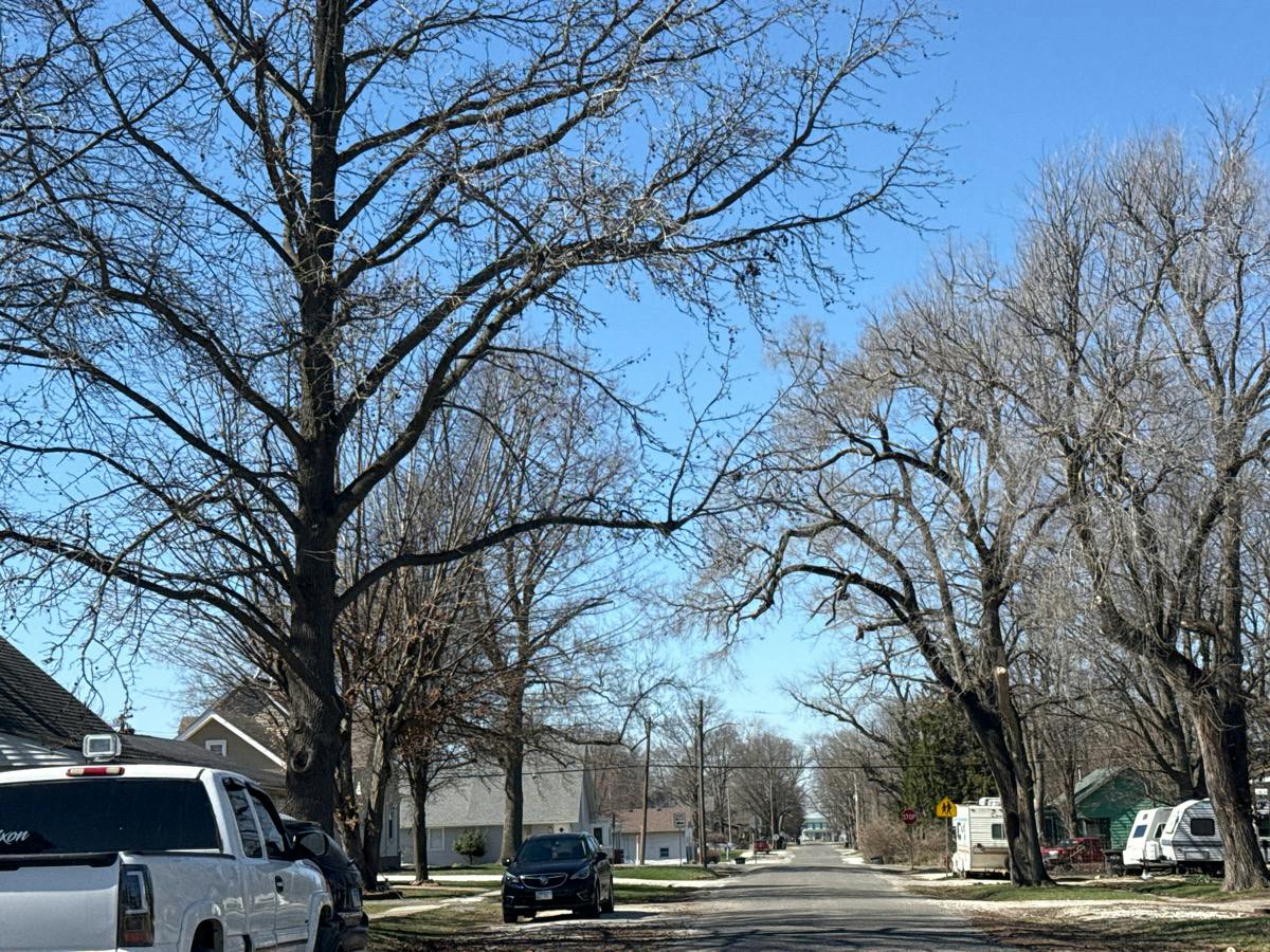 Sycamore St, Carrollton, IL 62016