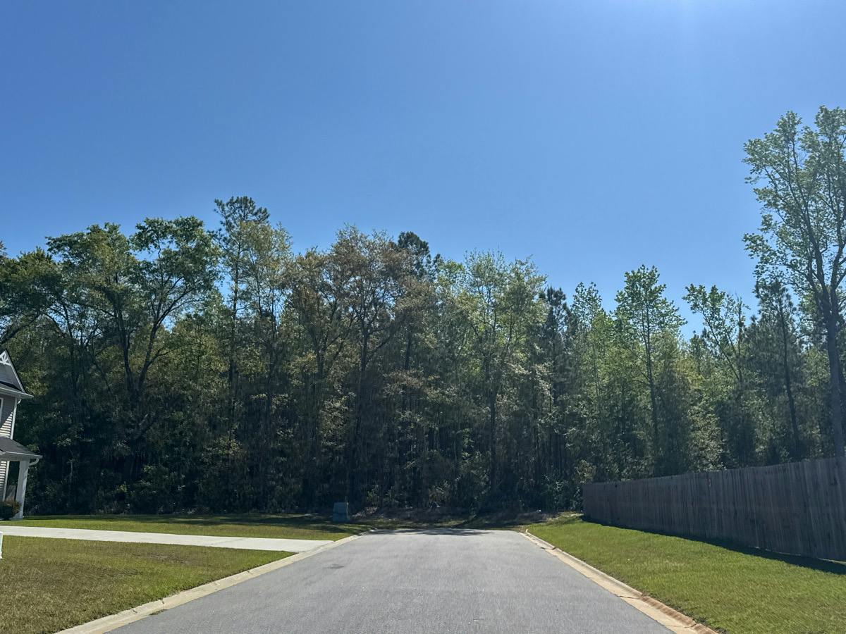 Brandonwood Rd, Ludowici, GA 31316