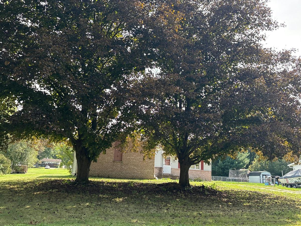 Milly Dr, Doylestown, OH 44230