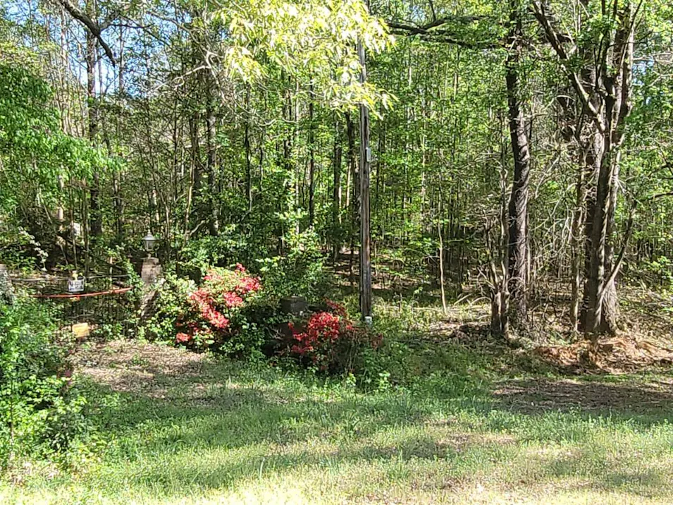 178 Jones Cir Fayetteville, GA 30215, Clayton County