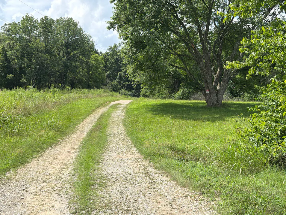 283 Hill Ct Gallatin, TN 37066, Sumner County