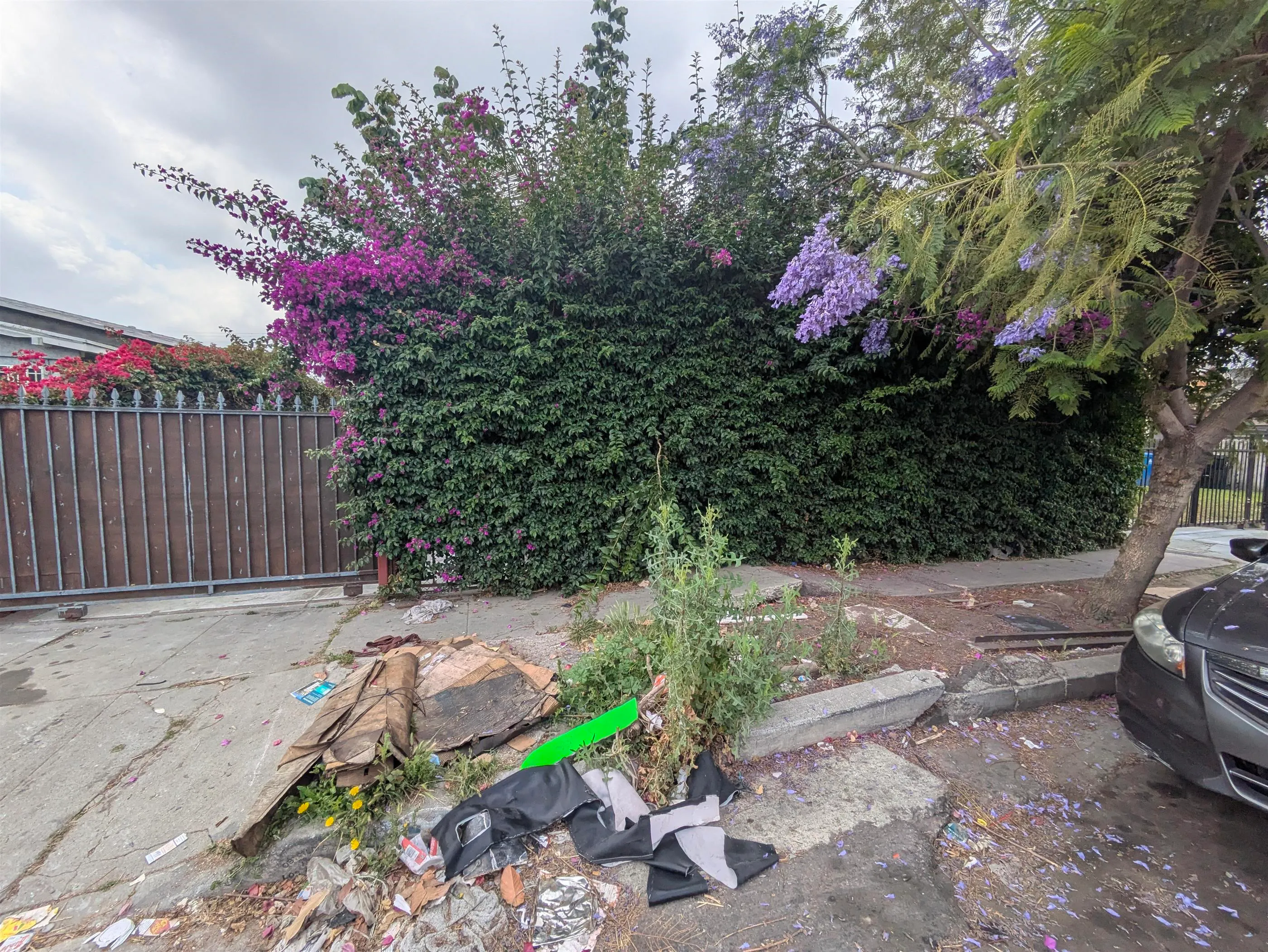 85th St, Los Angeles, CA 90044