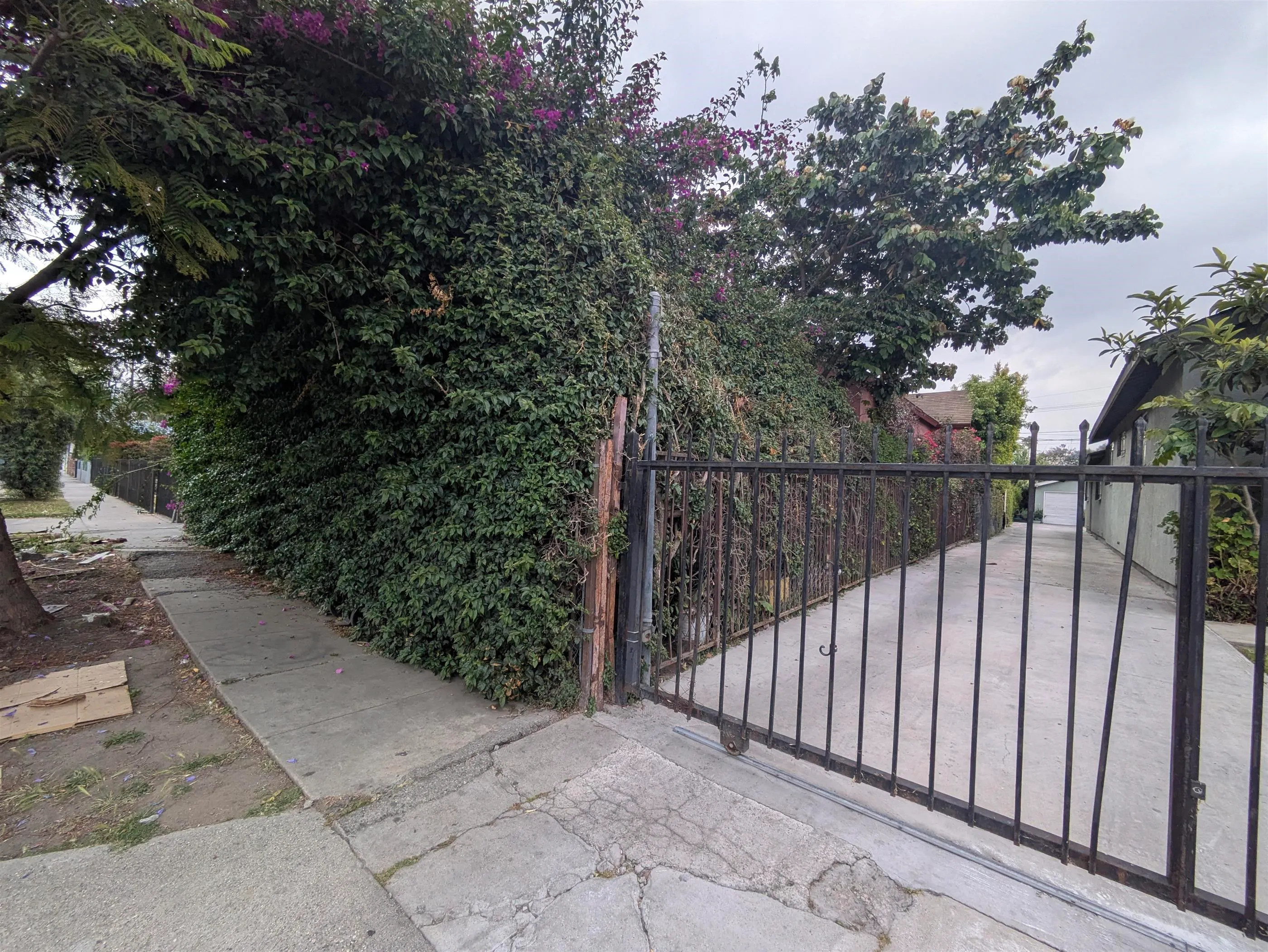 85th St, Los Angeles, CA 90044 #1