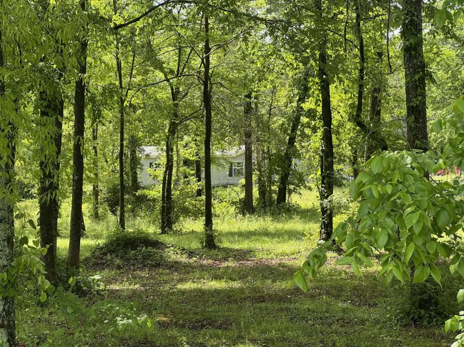 2278 County Rd 95 Higdon, AL 35979, De Kalb County