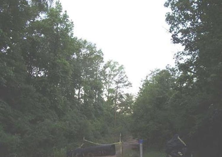 175 Hickory Hallsville, TX 75650, Harrison County