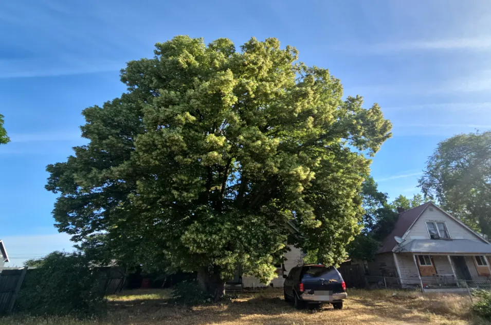 1817 E. Desmet Avenue Spokane, WA 99202, Spokane County