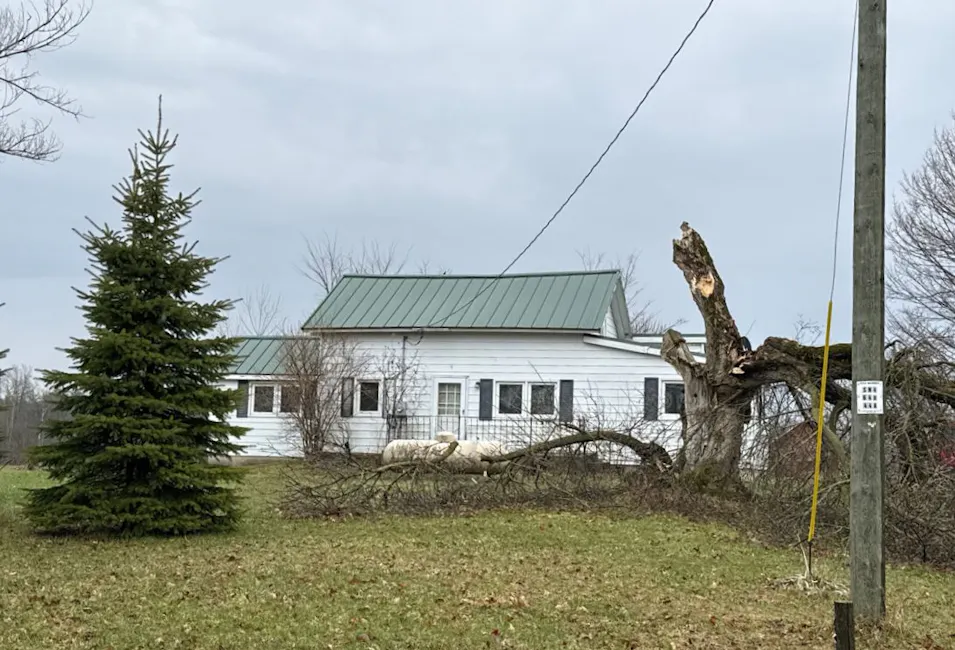 10640 N Rolland Rd Lake, MI 48632, Isabella County