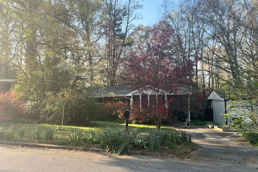 3095 Francine Drive