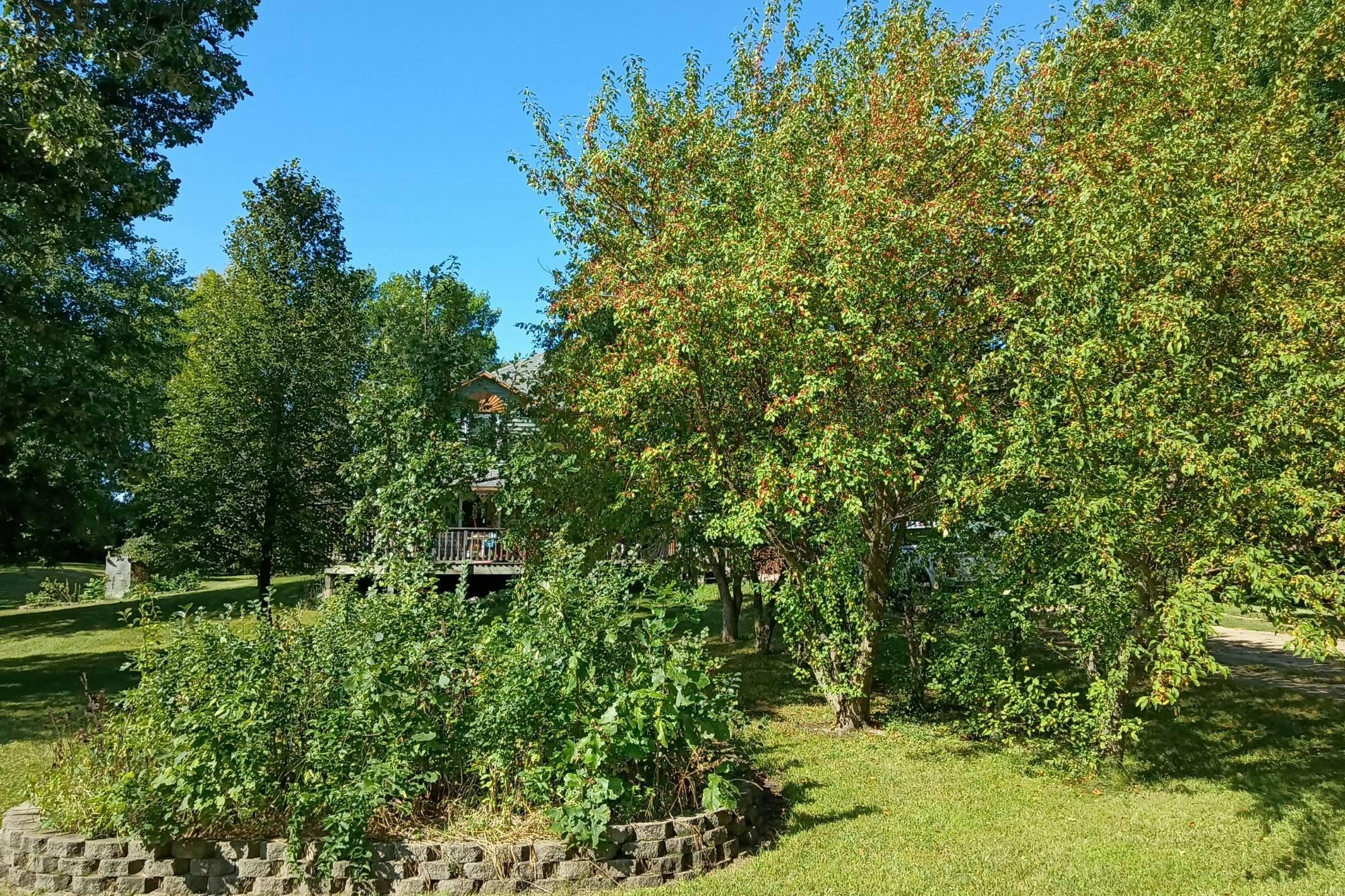Mitchell Ave, Cokato, MN 55321