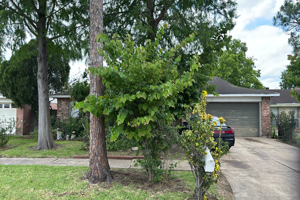 9918 Towne Brook Lane Sugar Land, TX 77478, Fort Bend County