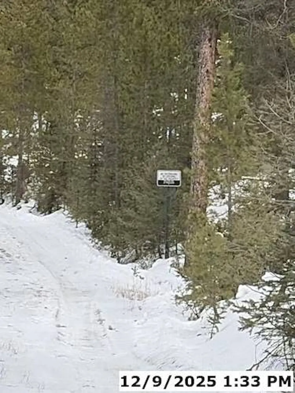 11223 South Barney Gulch Road Conifer, CO 80433, Jefferson County