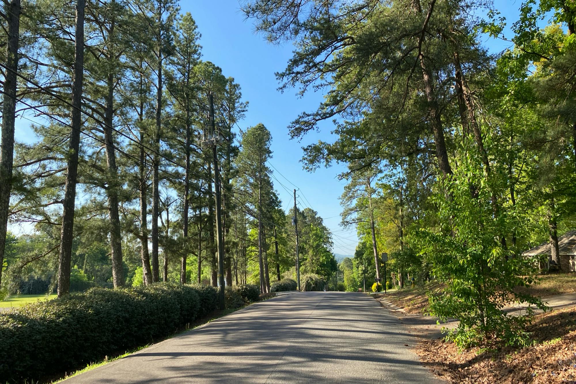 Tamassee Ln, Hoover, AL 35226