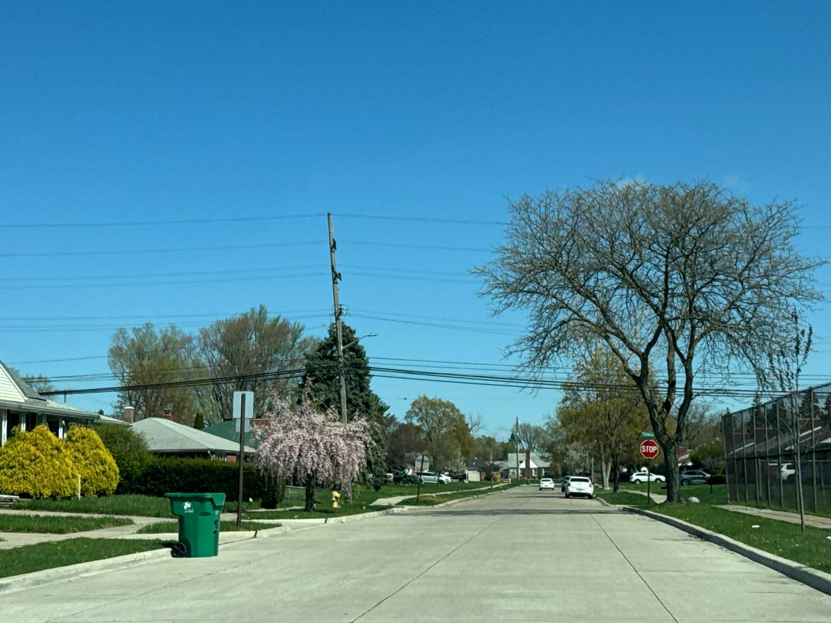 Roxana Ave, Eastpointe, MI 48021