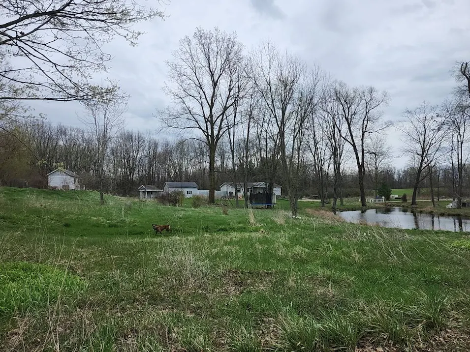 5881 Young Rd Bellevue, MI 49021, Eaton County