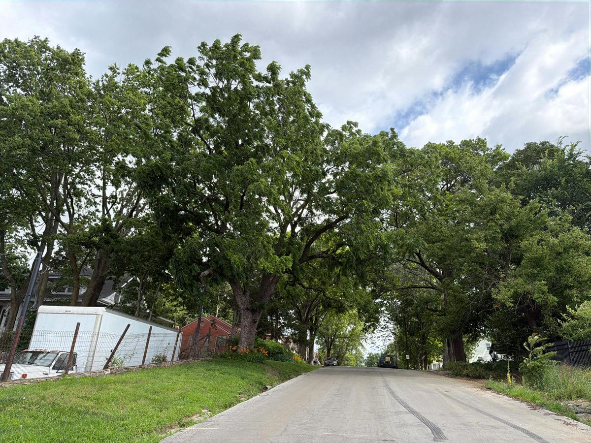 Hardy Ave, Independence, MO 64053