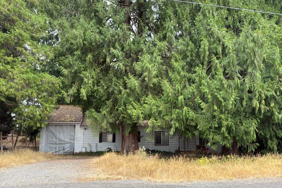 9514 210th Avenue East Bonney Lake, WA 98391, Pierce County