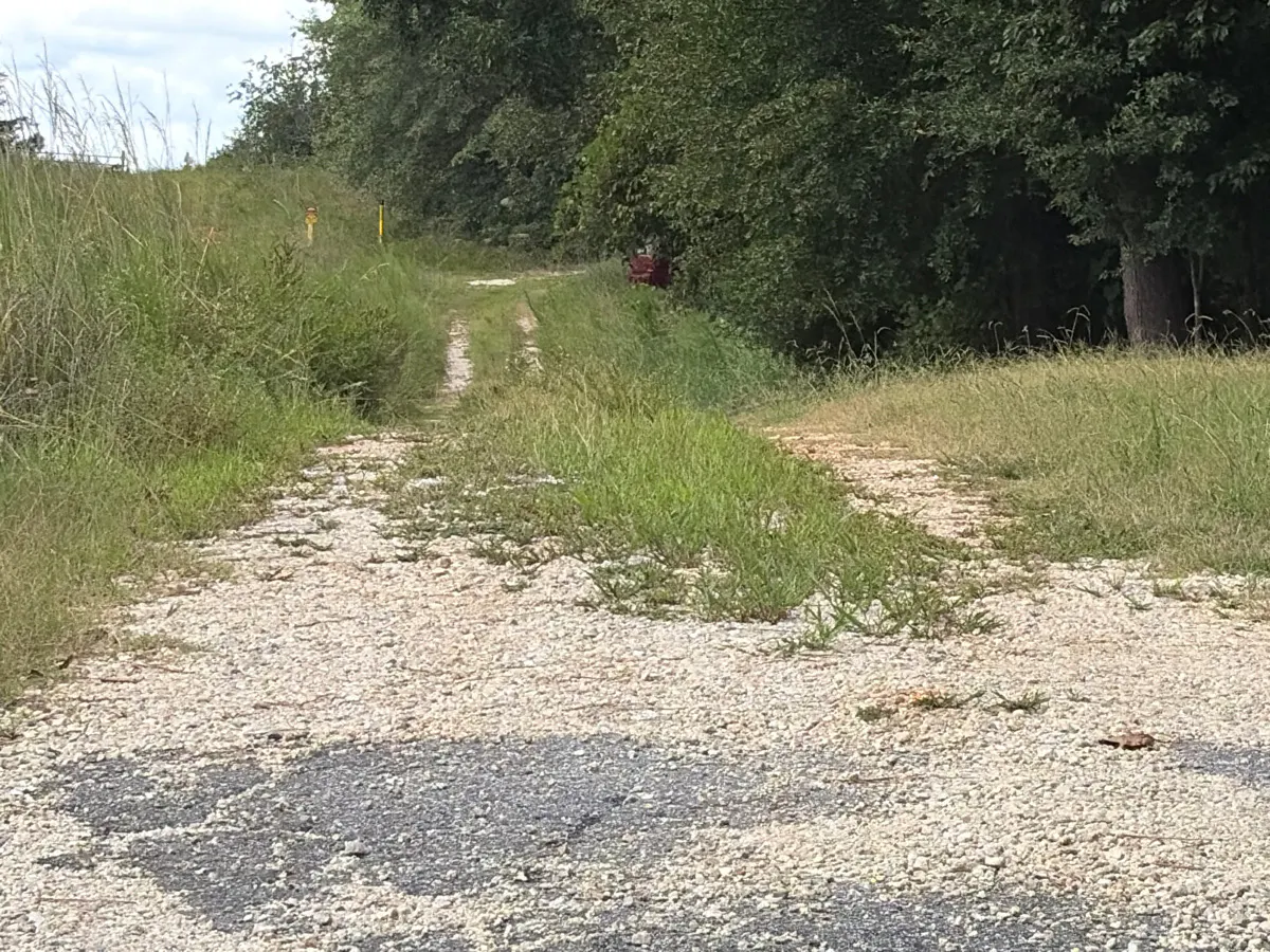 Little Hope Rd, Blacksburg, SC 29702 #1
