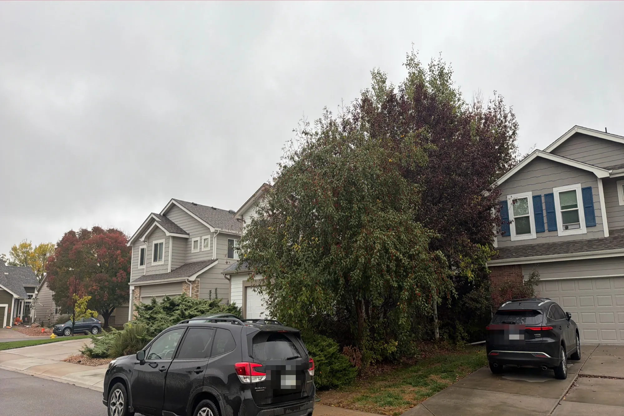Dakota Dr, Fort Collins, CO 80528 #1