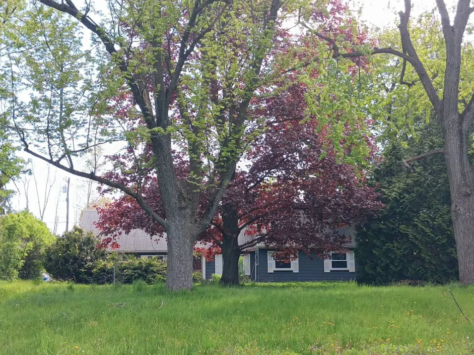 5590 Ormond Rd White Lake, MI 48383, Oakland County