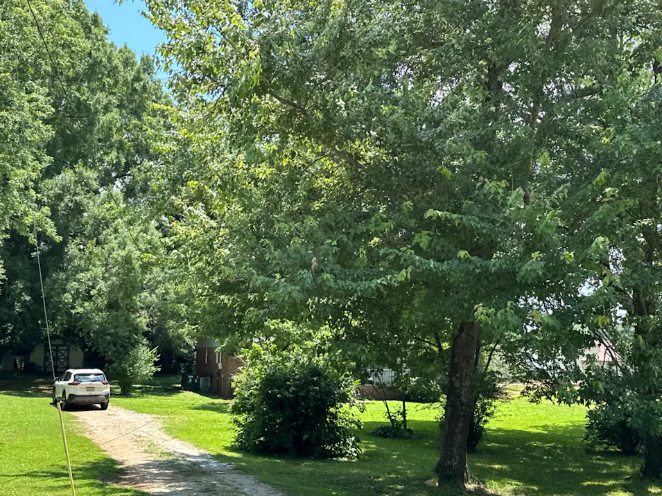 7612 Winchester Road New Market, AL 35761, Madison County