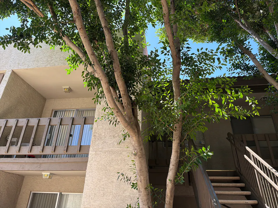 520 N Stapley Dr Unit 249 Mesa, AZ 85203, Maricopa County