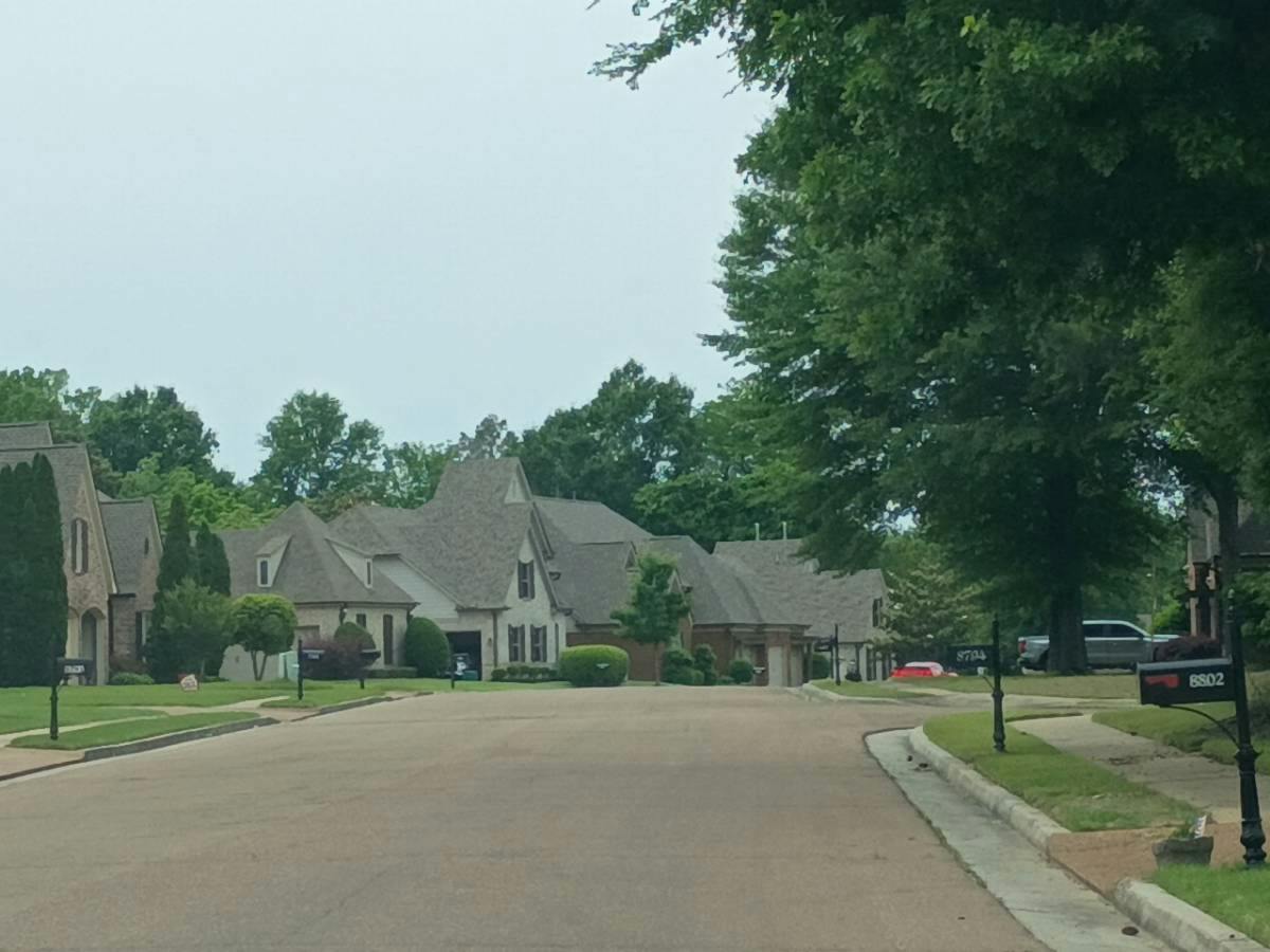 River Pine Dr, Cordova, TN 38016
