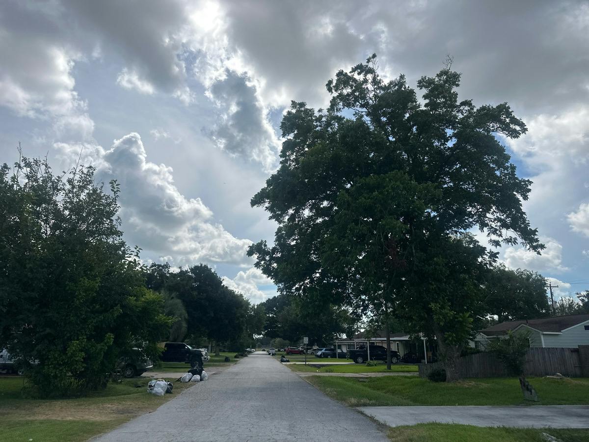 Elbridge Ln, Deer Park, TX 77536