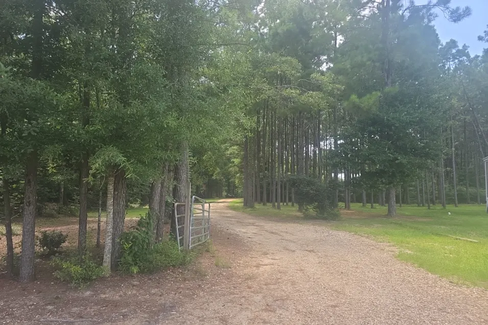 55447 Kemp Lane Independence, LA 70443, Tangipahoa County