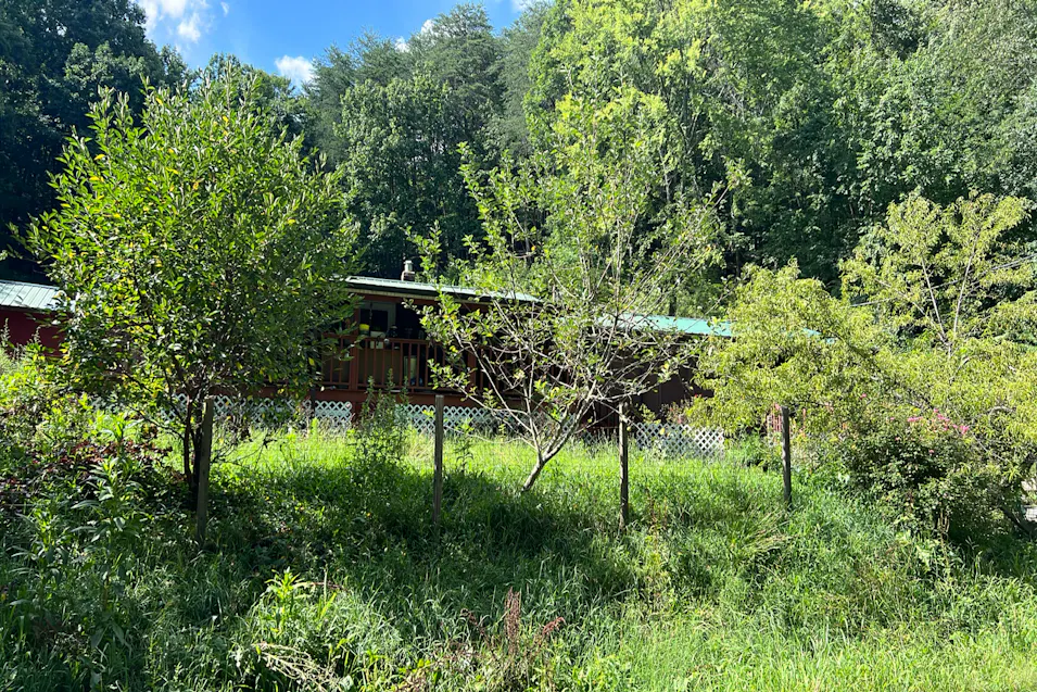 9122 Pickens Gap Rd Knoxville, TN 37920, Knox County