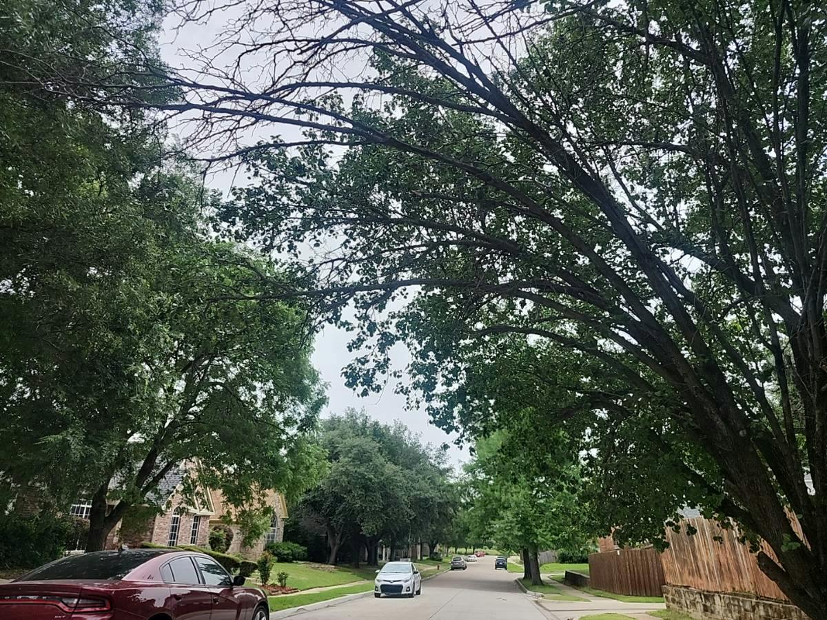 Fargo Dr, Grand Prairie, TX 75052