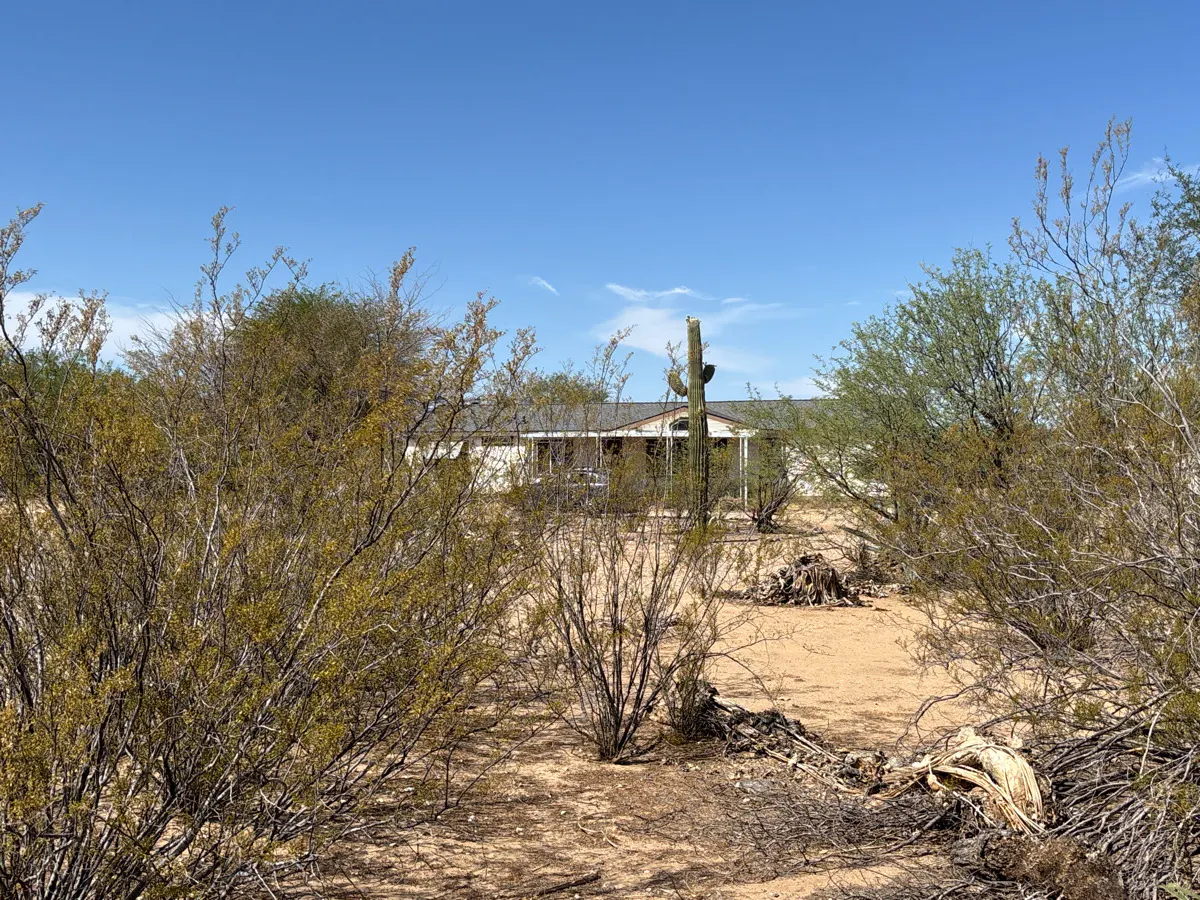 Blacktail Rd, Marana, AZ 85653 #1