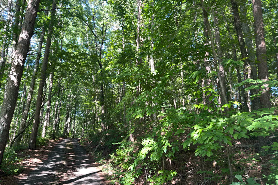 181 McClure Hill Lane Ringgold, GA 30736, Catoosa County