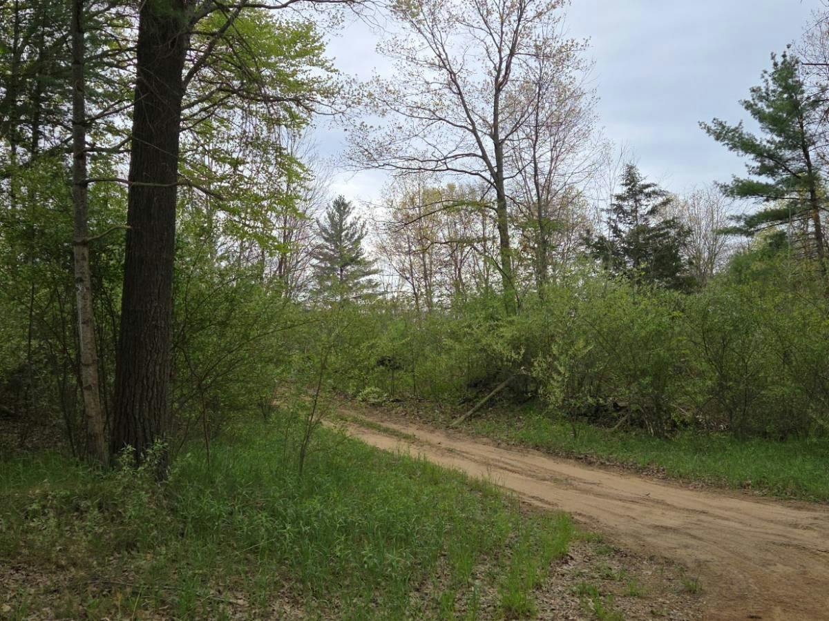 132nd Ave, Hopkins, MI 49328