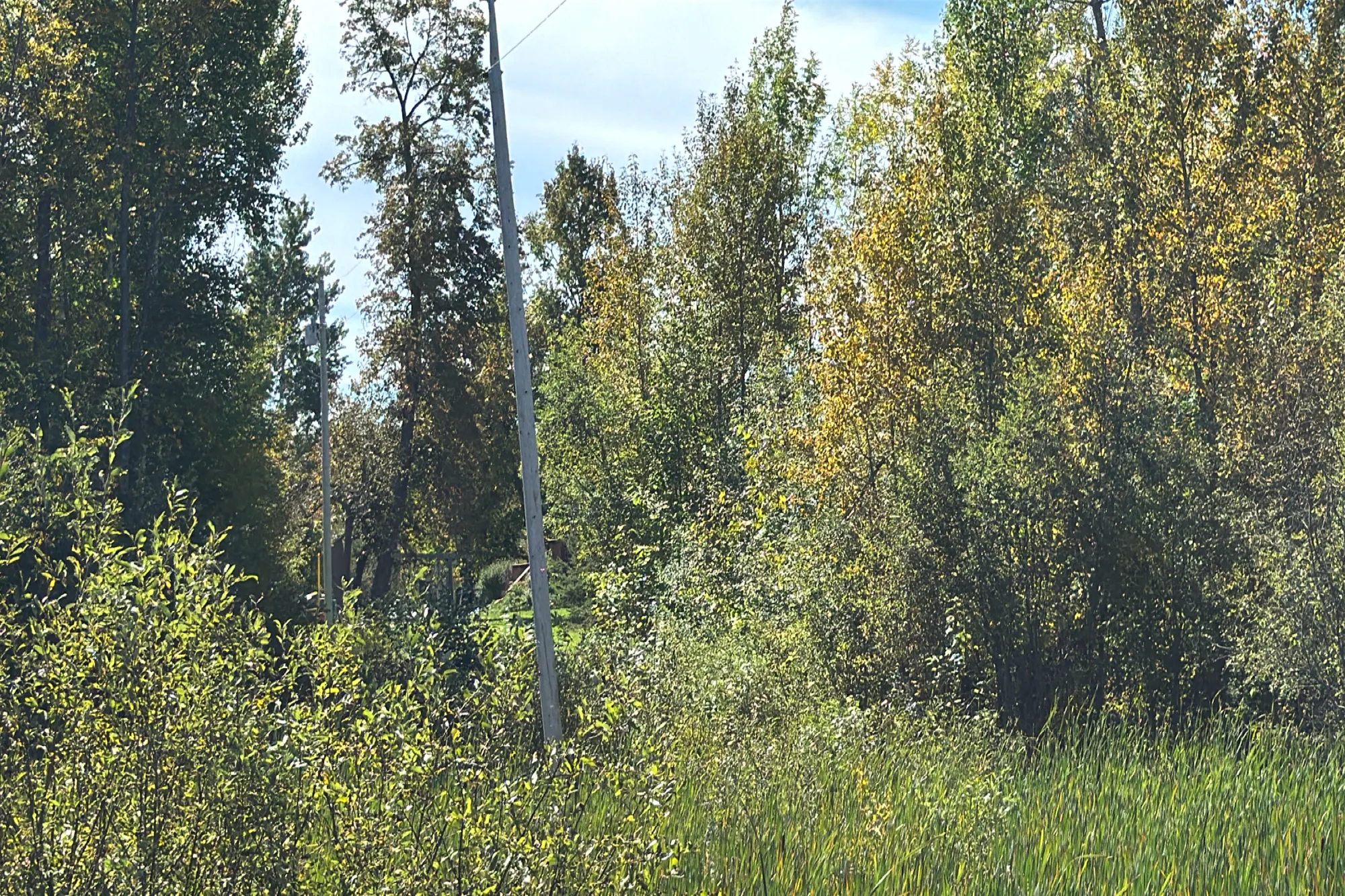 County Road 13 , Blackduck, MN 56630 #1